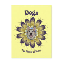 Dog Flower of Power Postcard