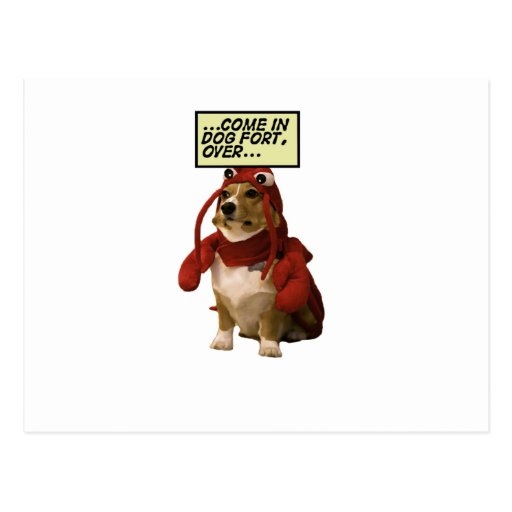 Dog Fort T-shirt Post Cards