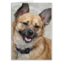 Dog Gone Happy cards by wolfmountainstudio Dog Gone Happy cards