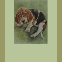 Dog Gone, in trouble again! t-shirts by artworkbyandrea Dog Gone, in trouble again! t-shirts