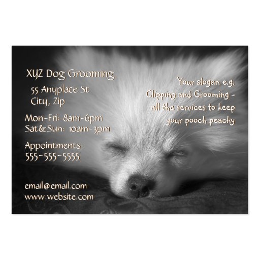 Dog Grooming Service business card template (front side)