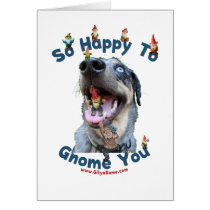 Dog Happy Gnome You Cards