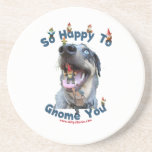 Dog Happy Gnome You Coaster