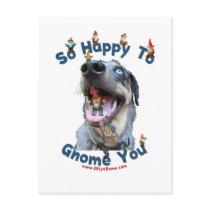 Dog Happy Gnome You Post Cards