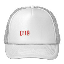 Dog Hats