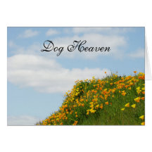 Dog Heaven Sympathy Cards Sorry for your Loss!