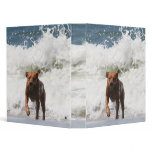 Dog - Here I Come... 3 Ring Binder