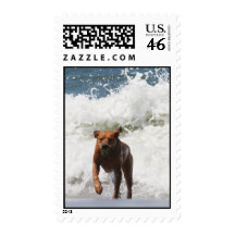 Dog - Here I Come... Stamp