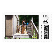 Dog House postage