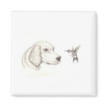 Dog & Hummingbird Magnets
