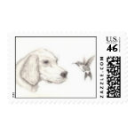 Dog & Hummingbird Postage Stamps