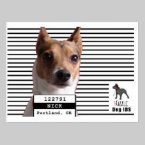 Dog IDS Postcard Nick Mug Shot postcards