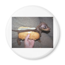 Dog in a Bun Magnet