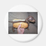 Dog in a Bun Magnet