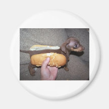 Dog in a Bun Magnet