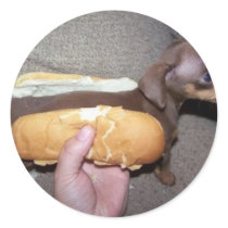 Dog in a Bun Round Stickers