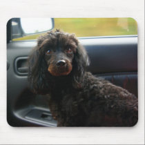 Dog In Car mousepads