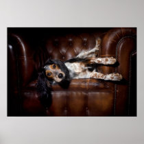 Dog in couch posters