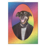 Dog in leather greeting cards