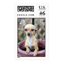 dog in pot postage by Nitalc dog in pot postage