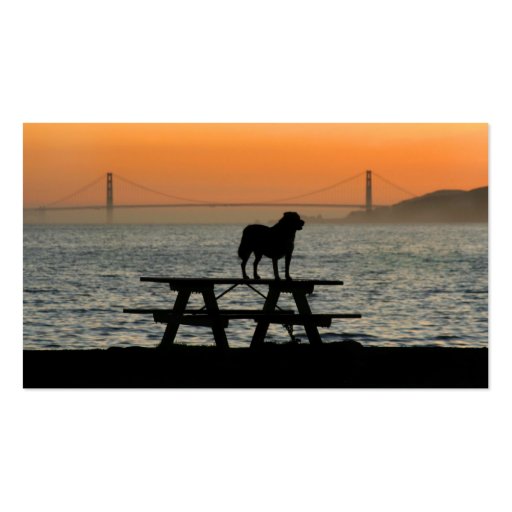 Dog in San Francisco Sunset business cards (front side)