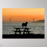 Dog in San Francisco Sunset poster