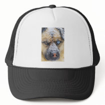 Dog in Snow hats by psalm1188 Dog in Snow hats