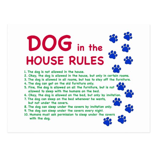 Dog in the house rules rules to live by postcard Zazzle