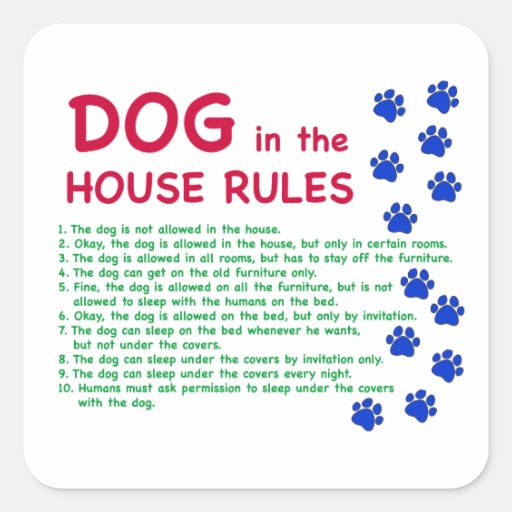 Dog in the house rules rules to live by square sticker Zazzle