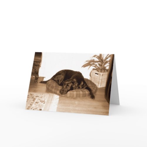 Dog in the manger card