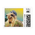 Dog in the Sun postage