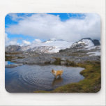 Dog in the water, in Canada.  Mousepad