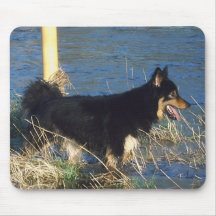 Dog in the water mouse pads