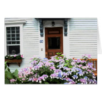 Dog in the Window cards by slader48 Dog in the Window cards