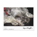 dog in thought.. postcards by shaneharris dog in thought.. postcards