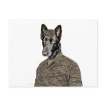 Dog In Uniform postcards