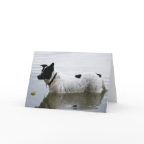 Dog in Water with Tennis Ball Card