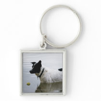 Dog in Water with Tennis Ball Keychains