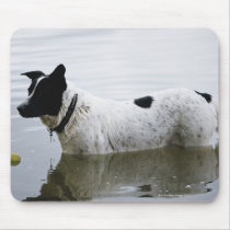 Dog in Water with Tennis Ball Mouse Pad