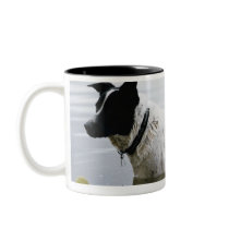 Dog in Water with Tennis Ball Mug