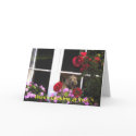 Dog in Window Irish Proverb Card by IrelandYes Dog in Window Irish Proverb Card