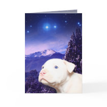 Dog is God spelled backwards... cards