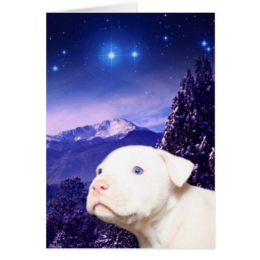 Dog is God spelled backwards... Greeting Cards