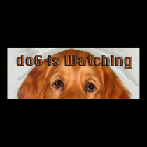 doG Is Watching Golden retriever posters by knewfy doG Is Watching Golden retriever posters