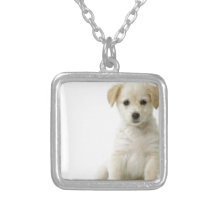 dog jewelry