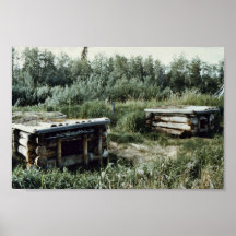 Dog Kennels, Swede Boy's Camp Print