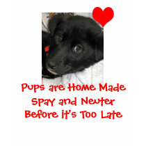 Dog_Lab_Mix_Female_Pupedit_edited-1, heart_edit... t-shirts by kcafpets Dog_Lab_Mix_Female_Pupedit_edited-1, heart_edit... t-shirts