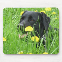 DOG LABRADOR RETRIEVER BLACK mousepads by Sofia_Youshi DOG LABRADOR RETRIEVER BLACK mousepads