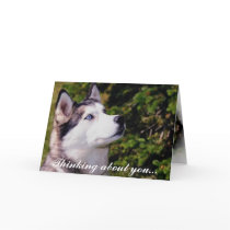 Dog Lookin Upward cards by MerryRose Dog Lookin Upward cards