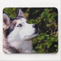 Dog Lookin Upward mousepads